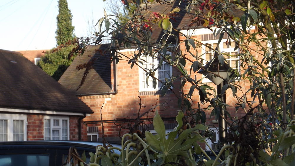 The Peacock Townhouse Hotel Kenilworth - Warwick Buitenkant foto